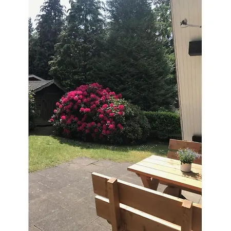 Klara Appartement Schneverdingen