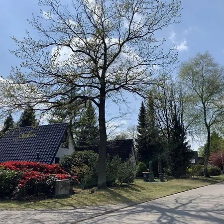 Klara * Schneverdingen